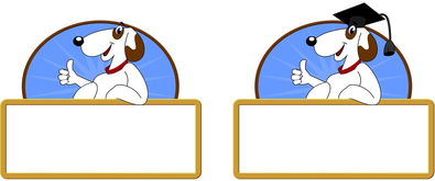 KAIYUNAPP-校园体育节活动对学生参与度的促进作用，学校体育节活动描述