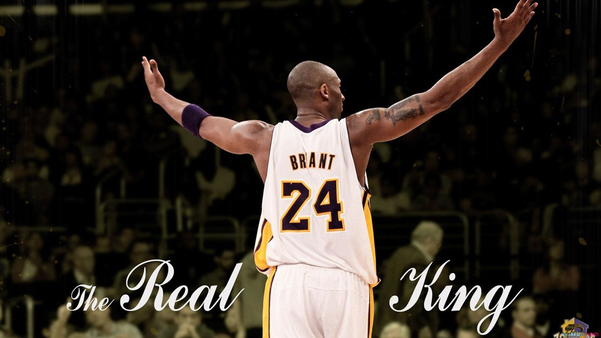 开云体育中国官方网站-“未来篮球领袖”青少年培养计划在全国各地同步启动，未来星篮球培训