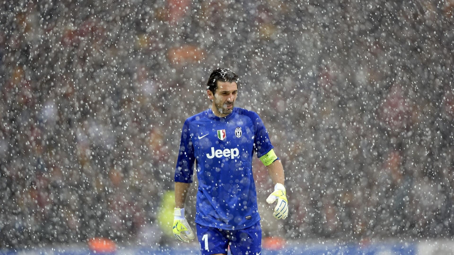 国际泳坛新秀崭露头角，国际泳坛十大